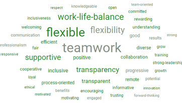 SISTopWorkplaces2022_wordcloud 1